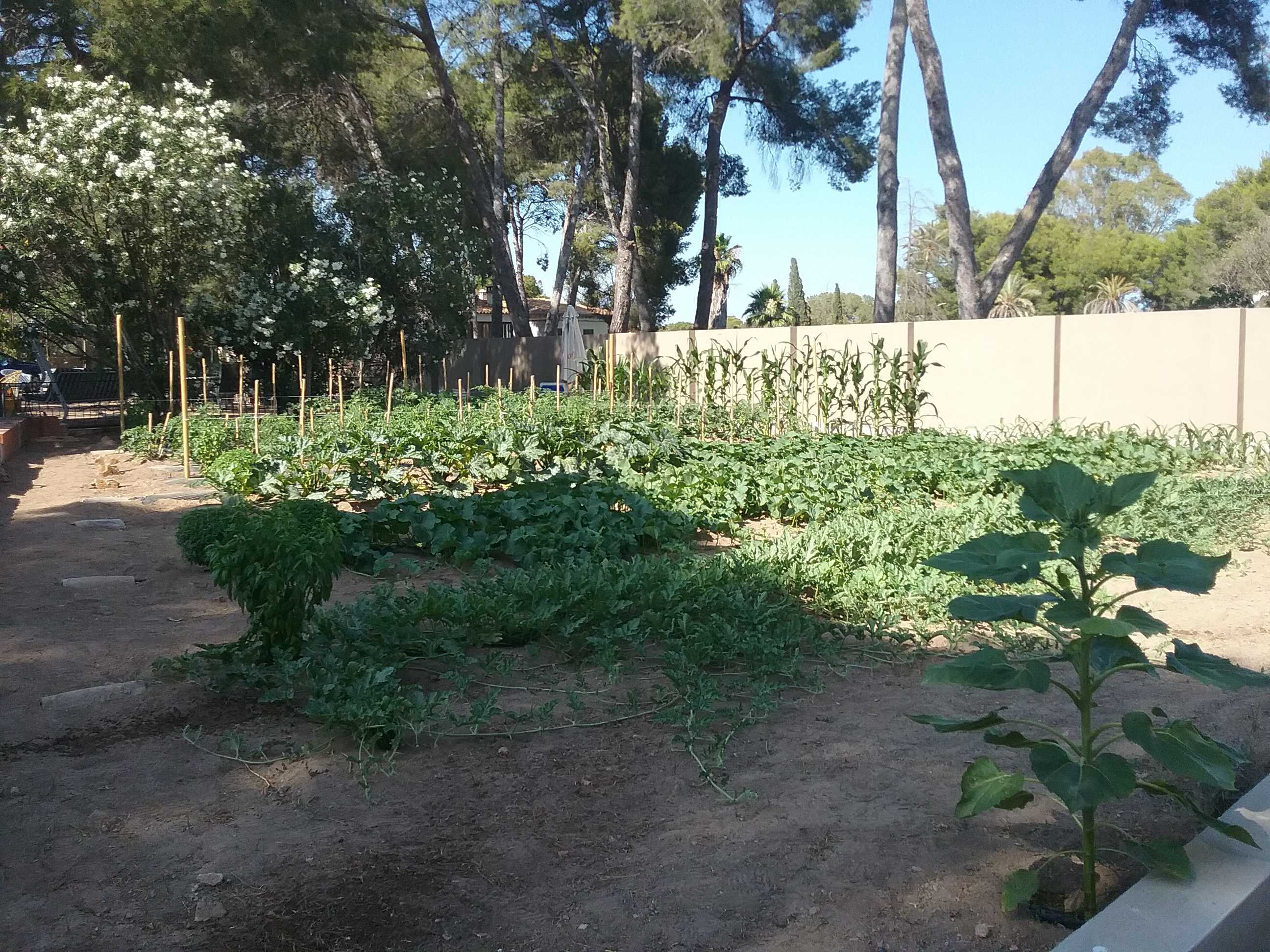 Jardín y Huerto privado en Godella, Valencia.